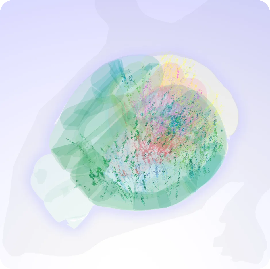 Recording locations across the mouse brain, from the IBL Brain Wide Map.